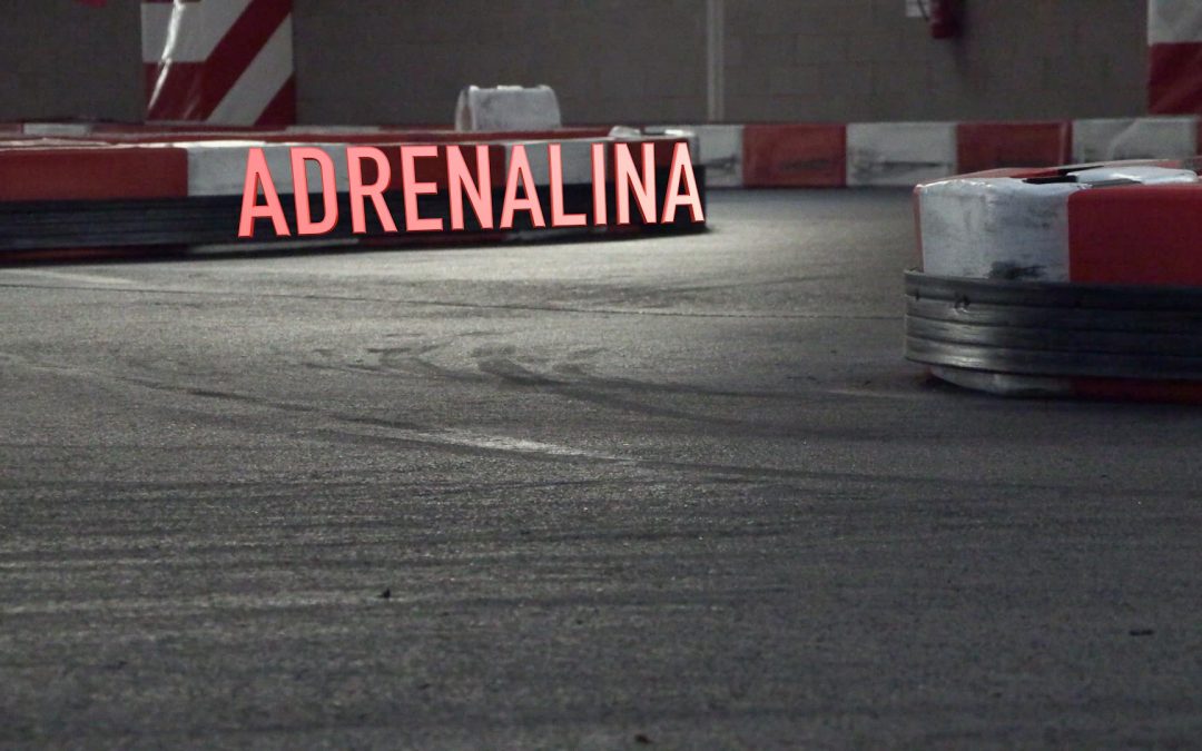 House of Karts : adrenalina.